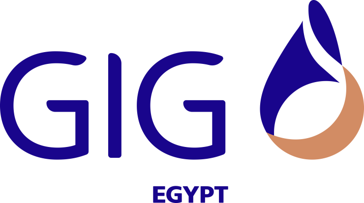 Read more about the article Gulf Insurance Group acquires AIG Egypt